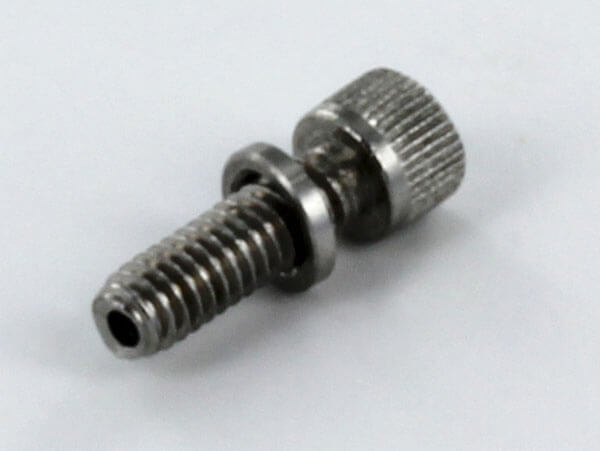 Check Valve Screw